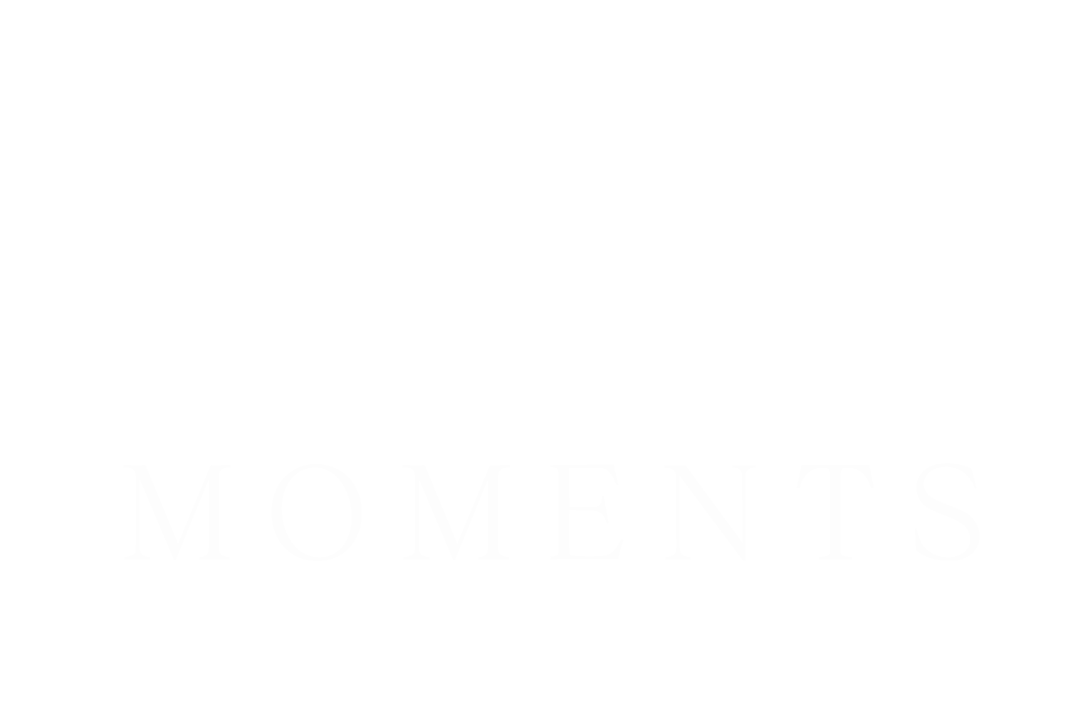 Moments Fotografia Naturalna